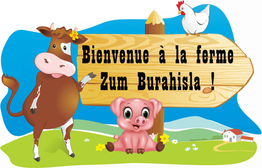 Bienvenue à la ferme Zum Burahisla