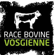 Logo race bovine vosgienne
